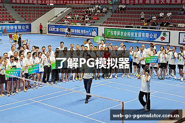 了解PG模拟器